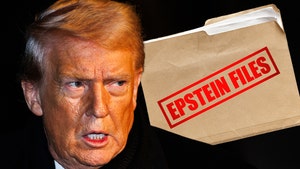 DONALD TRUMP EPSTEIN FILES GETTY COMP