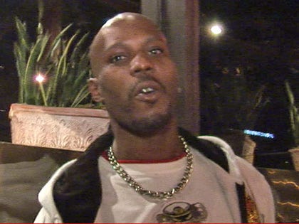 0419-dmx-tmz