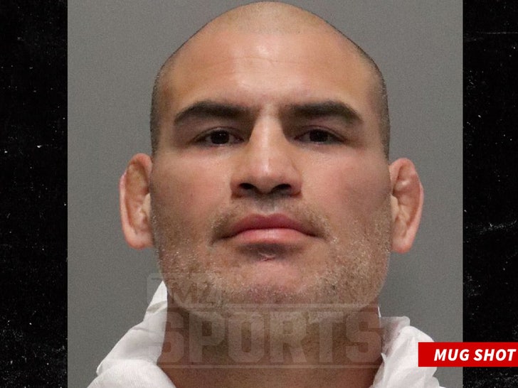 0229-ufc-cain-velasquez-arrested-mugshot-san-jose-police-dept