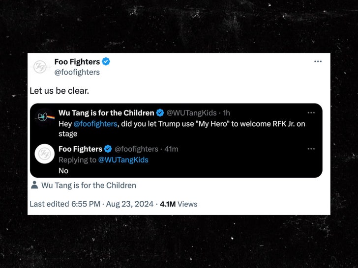 foo fighters statement sub