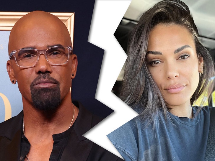 Shemar Moore and Jesiree Dizon Split After Almost 5 Years Together