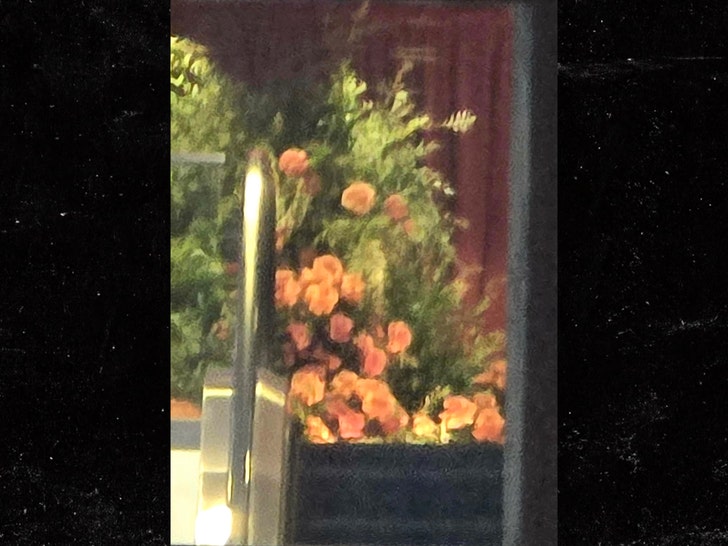 sub-taylor-swift-flowers-backgrid-1