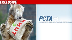PETA -- Knut's Death Could Have Been Avoided