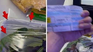 Man Spots Bugs in Food Aboard American Airlines Flight