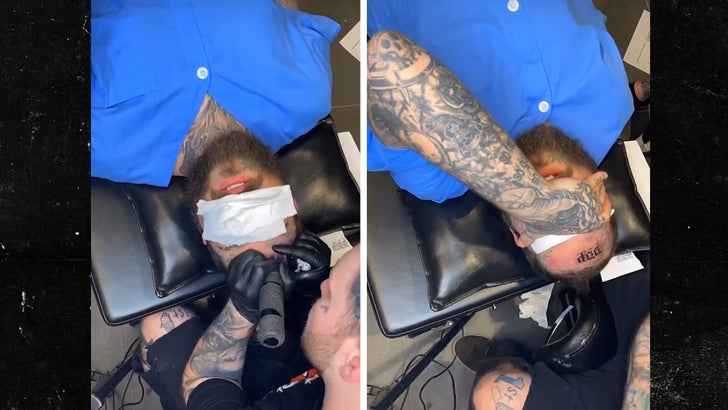 Post Malone Fan Gets Tattoo Drawn by Singer During Concert So Sweet