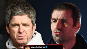 noel gallagher liam gallagher