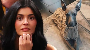 kylie jenner dog died getty comp