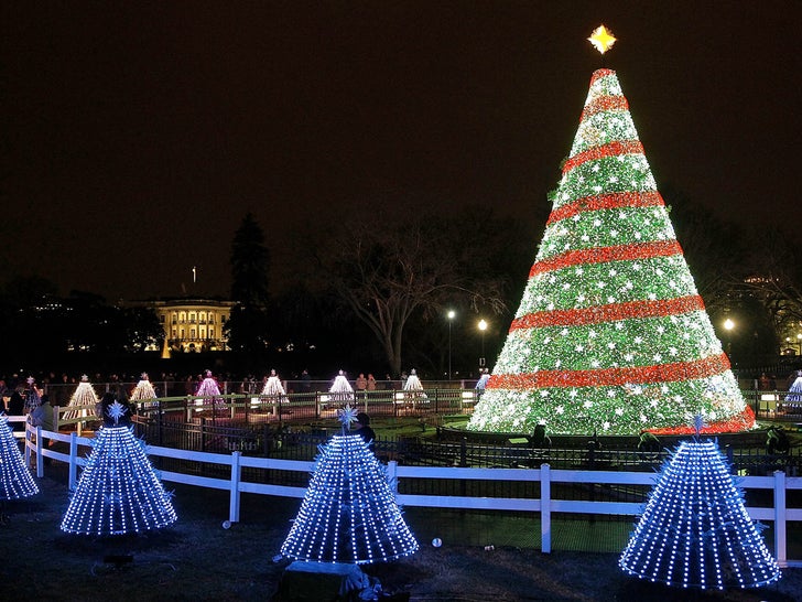 National Christmas Tree Lightings -- Through The Years