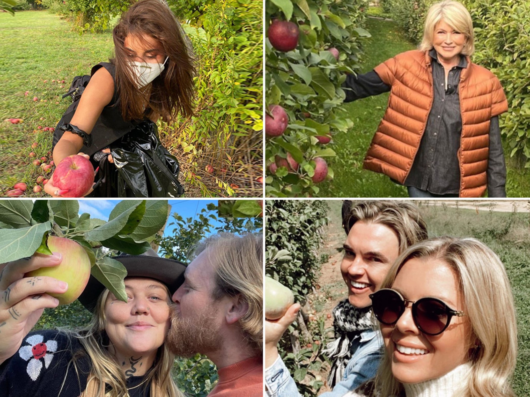Apple Picking Celebs -- Hard Core!
