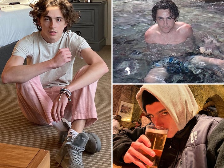 Tembakan Sosial Timothee Chalamet