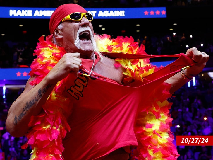 Hulk Hogan Sub Getty
