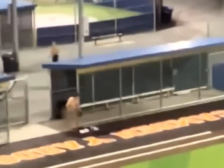 Baseball -Coach -2