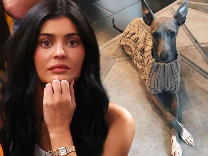 kylie jenner dog died getty comp