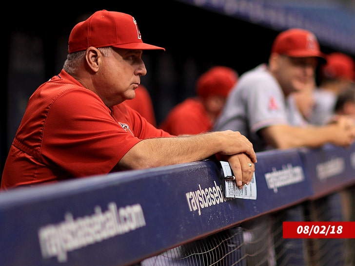 How Mike Scioscia led the Angels to the promised land - Los