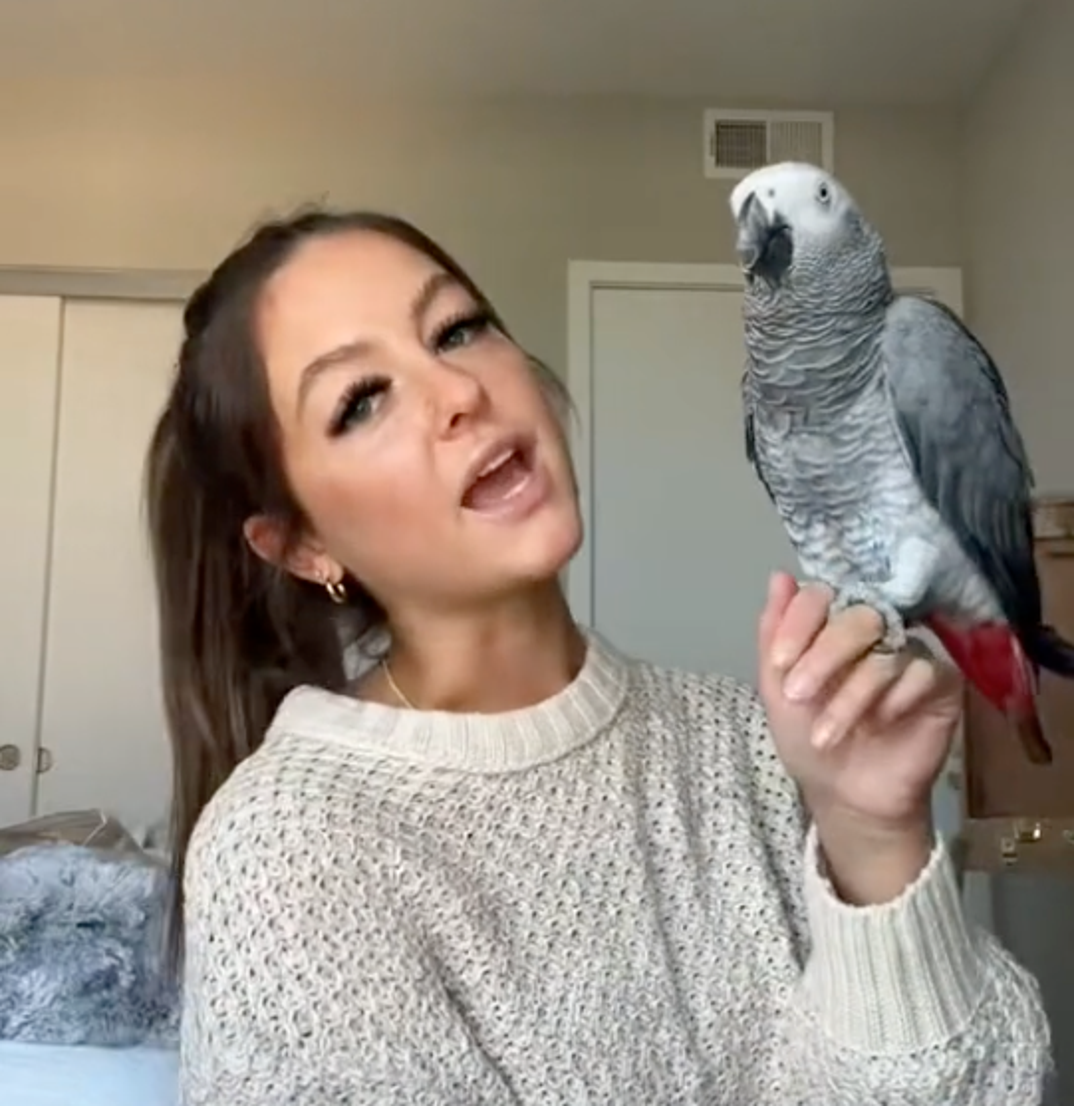 Tara Lynn