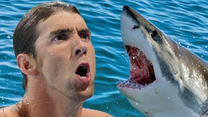 Michael Phelps vs. Shark has a Winner