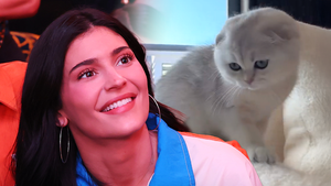 kylie jenner cat main getty insta