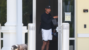 tiger woods rehab backgrid