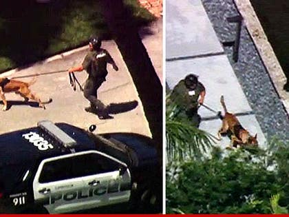 0311-police-dogs-cbs