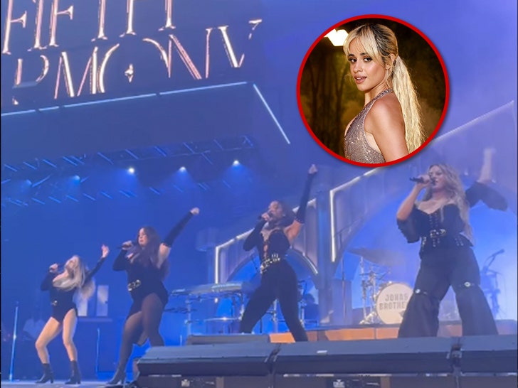 Camila Cabello Reacts to Fifth Harmony Reunion at Jonas Brothers Concert