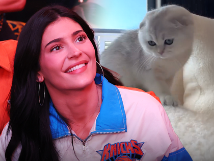 kylie jenner cat main getty insta
