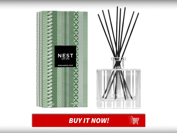 Nest-New-York-Reed-Diffuser-Birchwood-Pine-Black-Friday-Week-Cozy-For-Holidays-MAIN