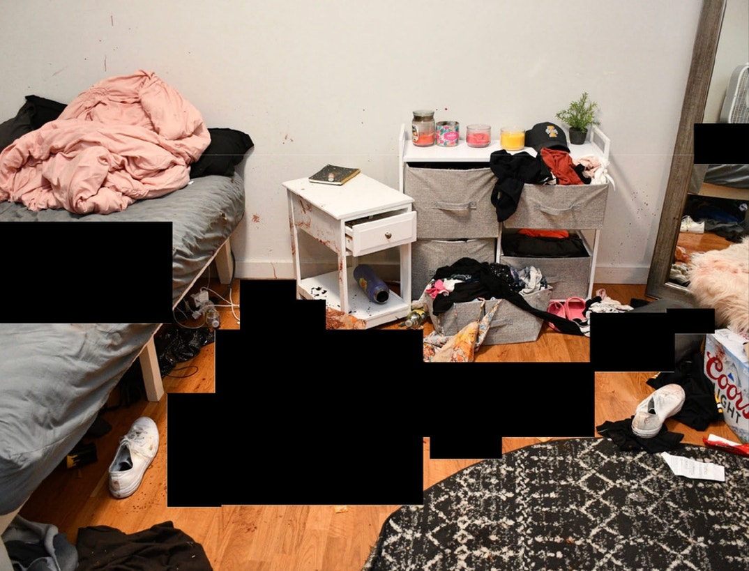 Bryan Kohberger Graphic Crime Scene Photos 9