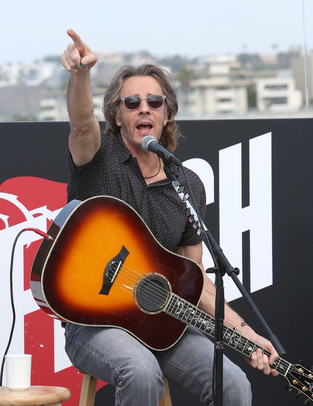 Rick Springfield Performance Pics 4