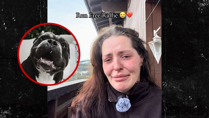 122525_raffie_dog_death_kal