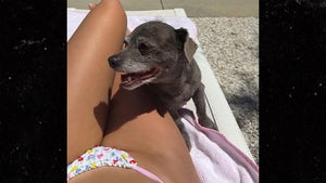 0630-Kelsey-Calemine-Hot-Dog-Legs-hero