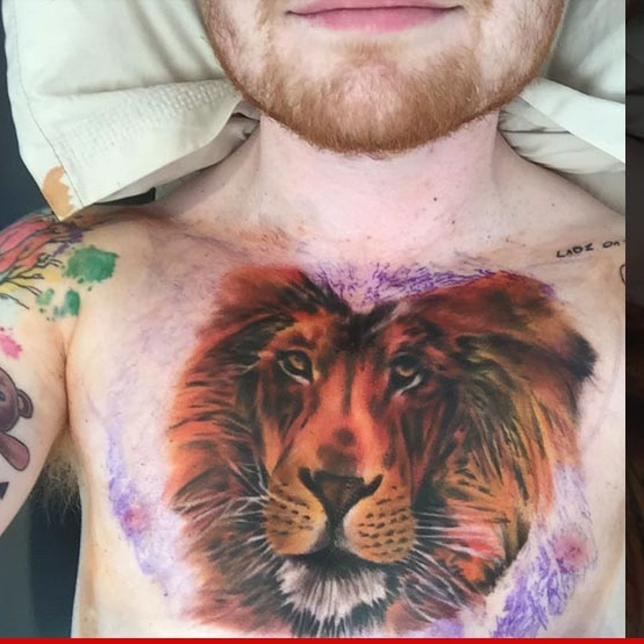 Tattoo fan left red-faced after massive tiger inking looks VERY rude thanks  to unfortunate shape | The US Sun