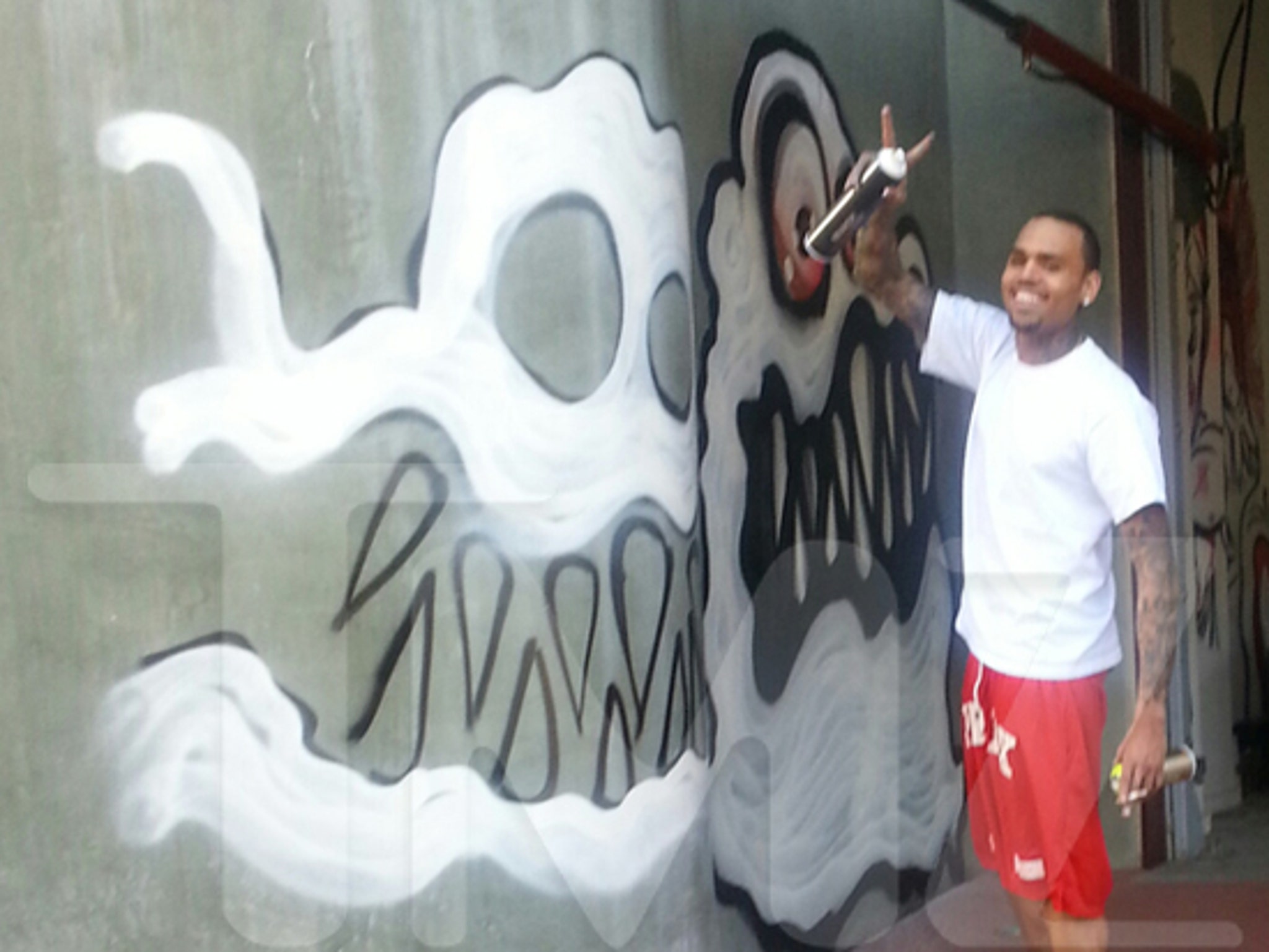 Chris Brown To L A City My House Graffiti Is Protected By The 1st Amendment