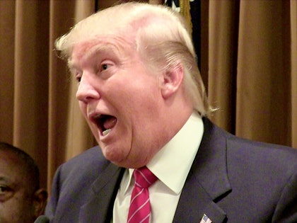 0207-donald-trump-tmz