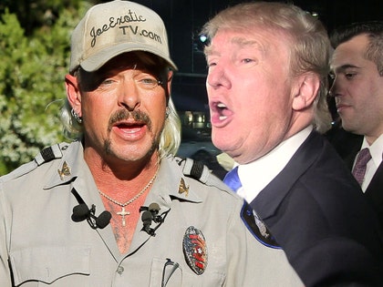 0121-exotic-trump-imagn-tmz-01