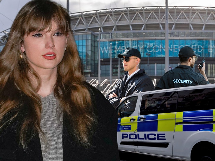 Taylor Swift Wembley stadium security