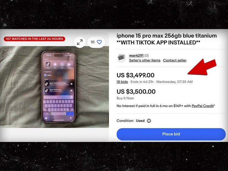 iPhone Tiktok Auction eBay Sub