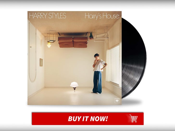 harris-house-vinil-harry-styles-aniversário-auto-presente-principal