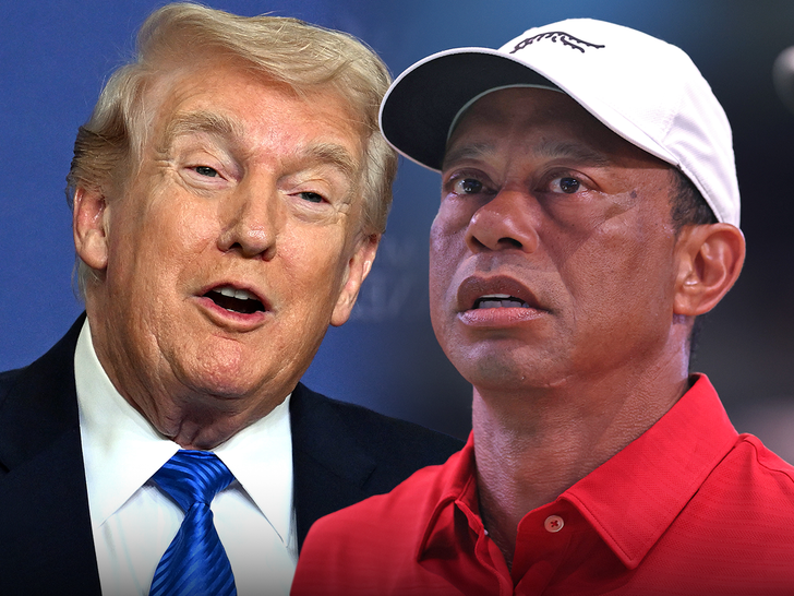 Donald Trump Tiger Woods Principal Getty