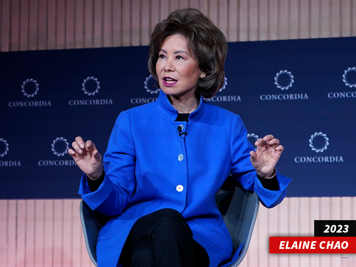 sub elaine chao getty