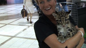 Snow Leopard UNLEASHED ... at the Airport!!
