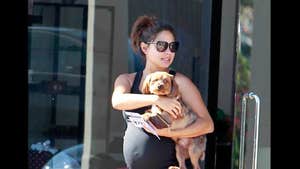 Vanessa Lachey -- Her Baby Bump Is for the Dogs