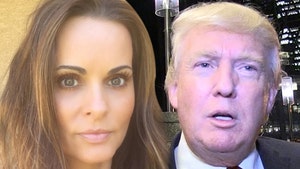 Former Playboy Playmate Karen McDougal Sues to Speak on Alleged Trump Affair