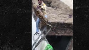 Wild Leopard Goes on the Attack in Village in India, Injures 6