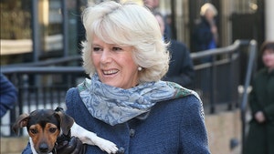 queen Camilla and dog getty 3