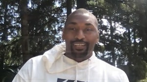 Metta World Peace