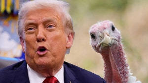 donald trump turkey getty comp