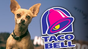 taco bell chihuahua getty 1