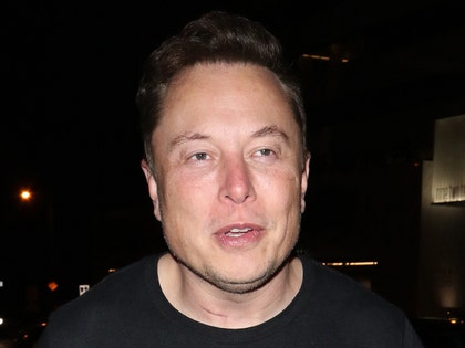 1220-elon musk getty