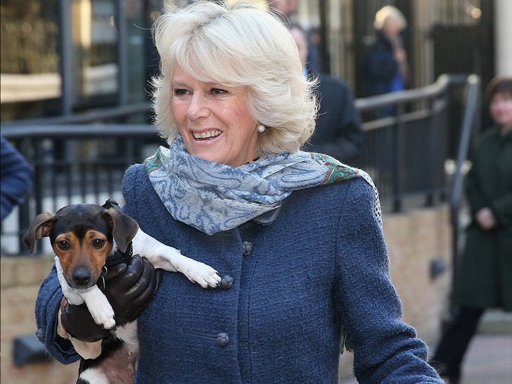 Queen Camilla’s Longtime Dog Beth Dies, Buckingham Palace Announces