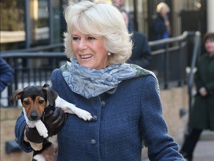 queen Camilla and dog getty 3